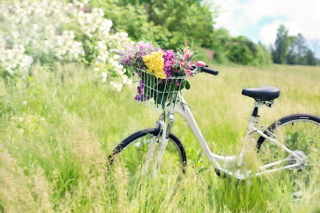 fiets met bloemen